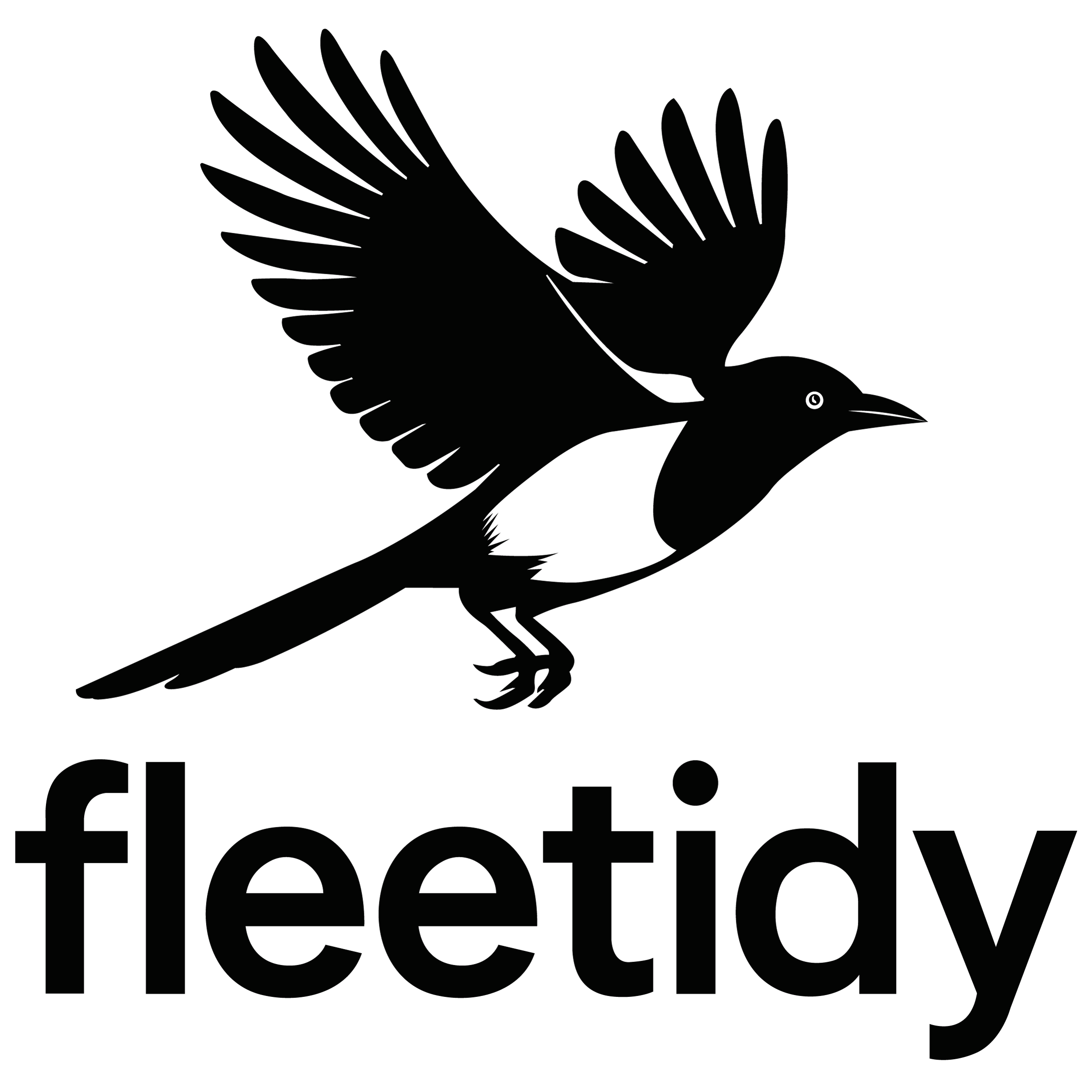 fleetidy logo